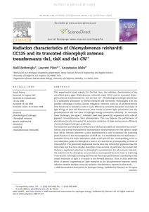 Radiation characteristics of Chlamydomonas reinhardtii CC125 and
