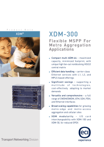 XDM-300 - telecomnetworks