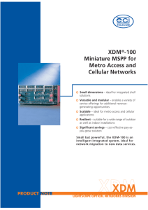 XDM®-100 Miniature MSPP for Metro Access