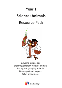 Year 1 Science: Animals Resource Pack