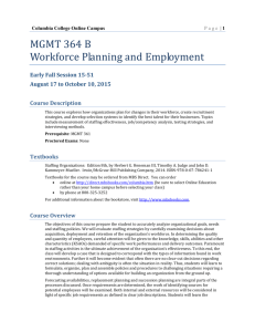 MGMT 364 B Workforce Planning and