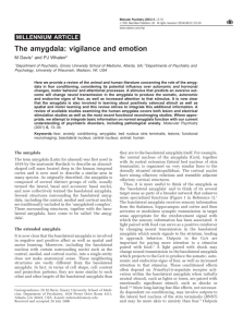 The amygdala: vigilance and emotion