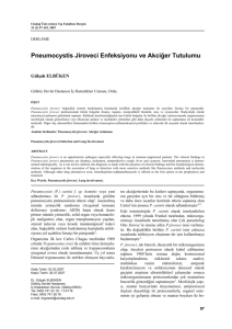 Pneumocystis Jiroveci Enfeksiyonu ve Akciğer Tutulumu