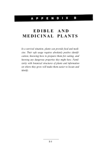 Edible and Medicinal Plants