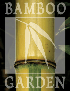 - Bamboo Garden