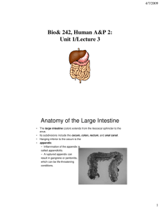 Bio 242 Unit 1 Lecture 3 printable