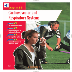 Chapter 16: Cardiovascular and Respiratory Systems