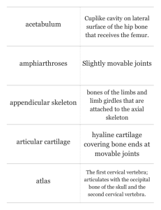 Print › Ch. 5 - Skeletal System | Quizlet