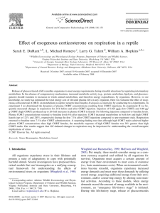 Effect of exogenous corticosterone on respiration in a reptile
