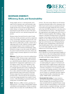 BIOMASS ENERGY: Efficiency, Scale, and Sustainability
