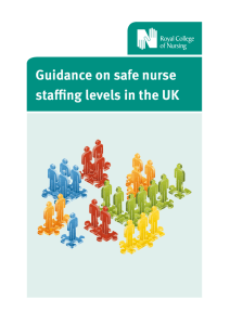 Guidance on Safe Nurse Staffing Levels in the UK (2010)