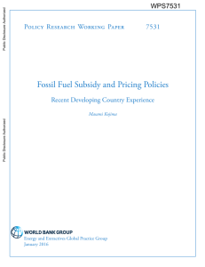 Fossil Fuel Subsidy and Pricing Policies