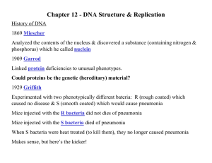 Chapter 12 - DNA Structure & Replication