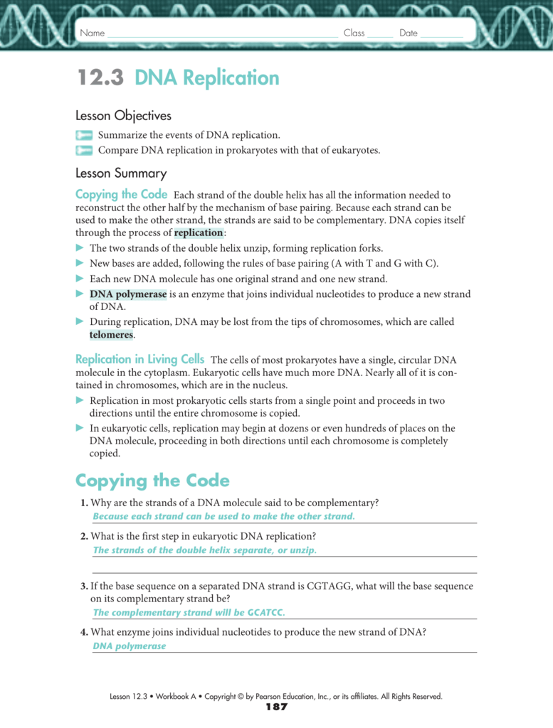 12.3 dna replication worksheet answer key pdf — Villardigital Library