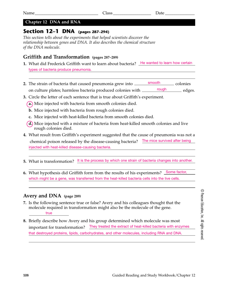 27 Chapter 12 Section 1 Dna The Genetic Material Worksheet Answers