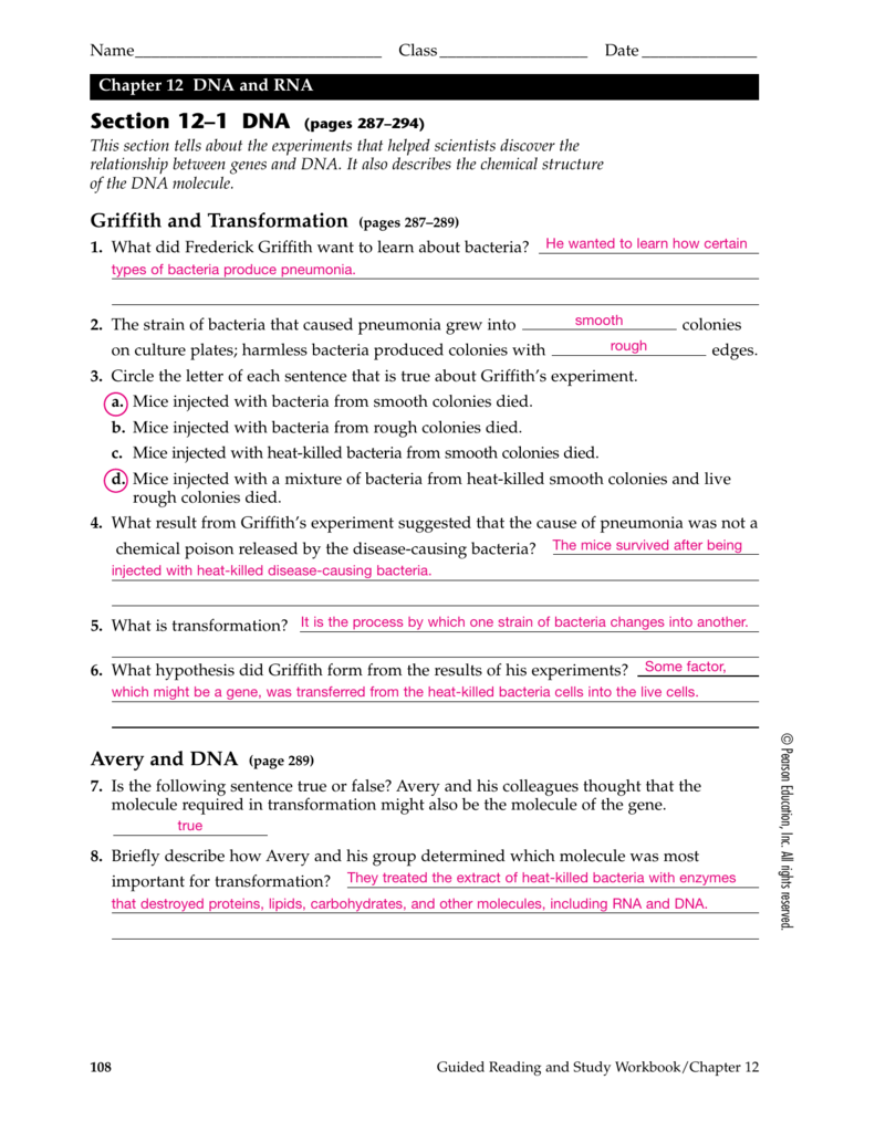 genetics case study answer key