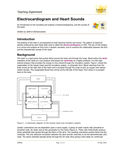 Electrocardiogram and Heart Sounds