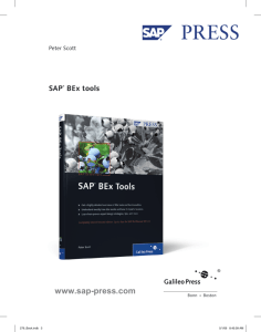 SAP BEx tools