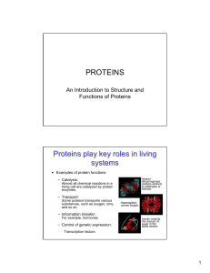 PROTEINS Proteins play key roles in living systems