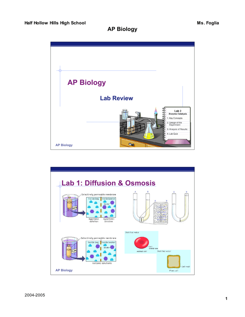 AP Biology Lab 1 Diffusion & Osmosis
