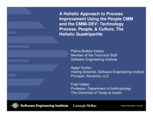 A Holistic Approach to Process Improvement Using