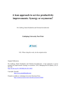 A lean approach to service productivity improvements: Synergy or