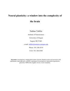Neural plasticity: a window into the complexity of