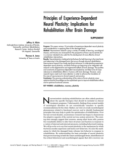 Principles of Experience-Dependent Neural Plasticity: Implications