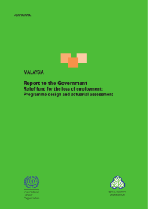 Report to the Government - Social Protection Platform