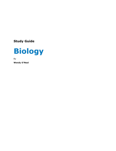 Study Guide Biology - Tutor