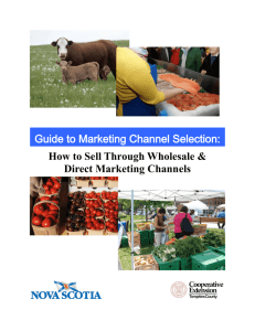 How to Sell Through Wholesale & Direct Marketing Channels Guide