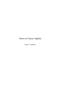 Notes on Linear Algebra - School of Mathematical Sciences