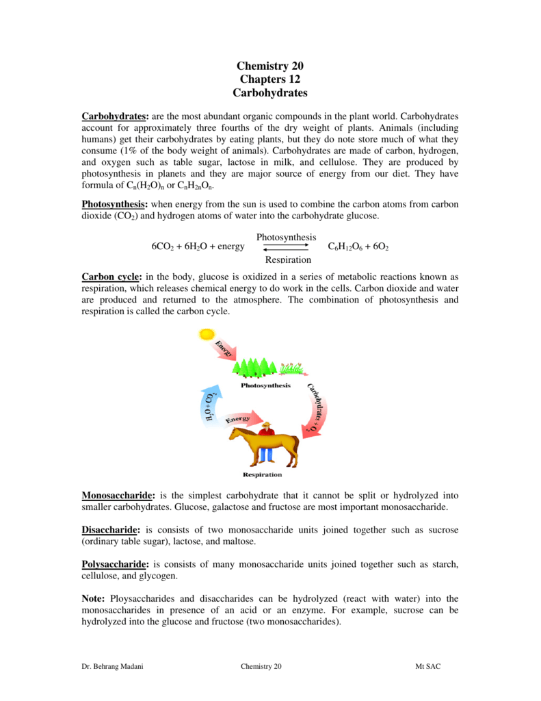 Chemistry 20 Chapters 12 Carbohydrates
