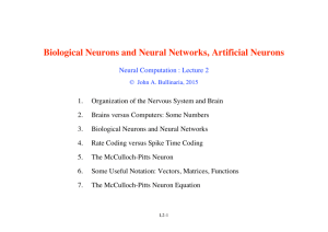 Biological Neurons and Neural Networks, Artificial Neurons