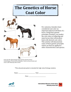 The Genetics of Horse Coat Color