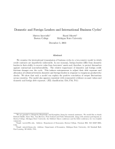 Domestic and Foreign Lenders and International