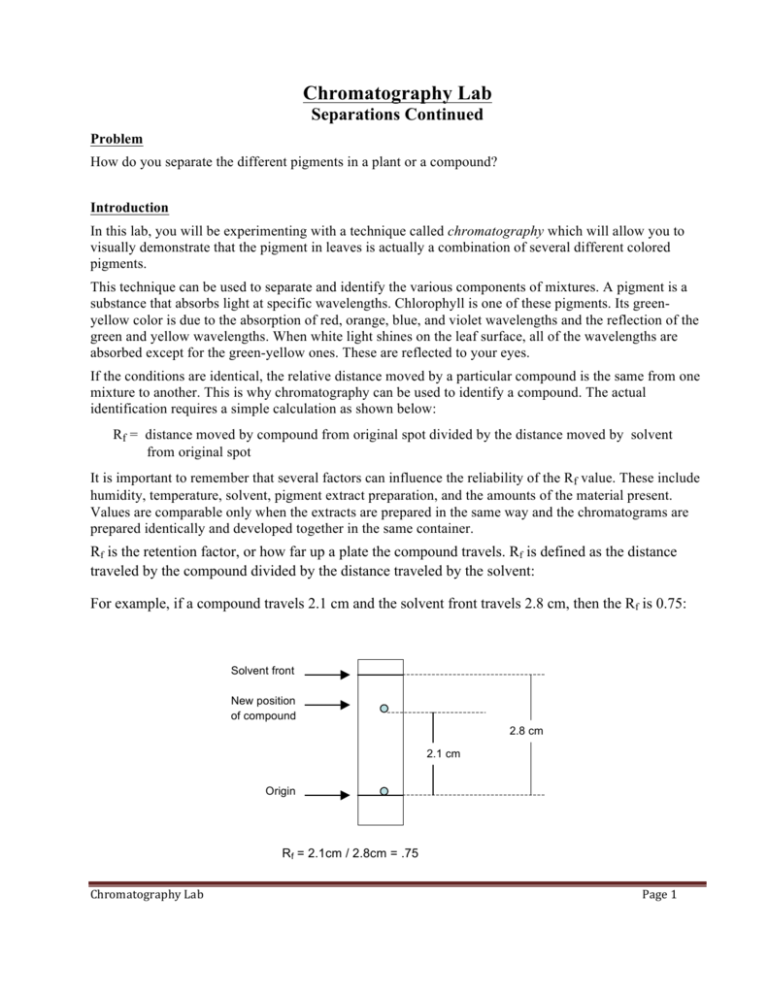 chromatography lab report hypothesis