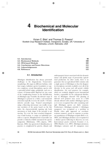 Biochemical and molecular identification