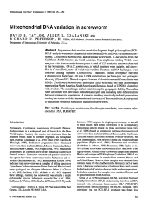 Mitochondrial DNA variation in screwworm