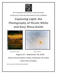Capturing Light: the Photography of Nicole White and Gary Mesa