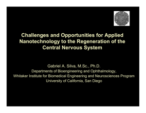 Challenges and Opportunities for Applied Nanotechnology to the