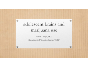 Developing Brain and Marijuana Use