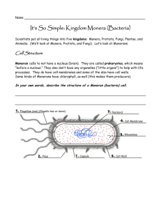 It's So Simple: Kingdom Monera (Bacteria)