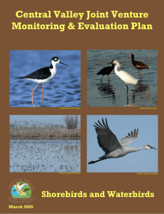 Central Valley Joint Venture Monitoring & Evaluation Plan Wintering