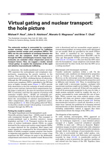Virtual gating and nuclear transport