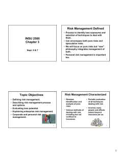 INSU 2500 Chapter 3 Topic Objectives Risk Management Defined