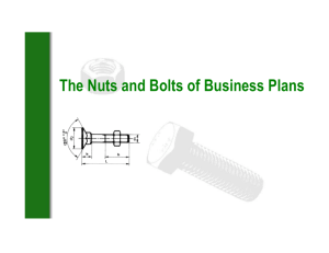 The Nuts and Bolts of Business Plans