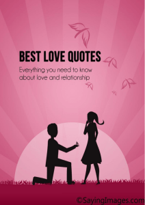 Best love quotes: Everything you need to know
