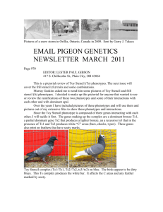 EMAIL PIGEON GENETICS NEWSLETTER MARCH 2011