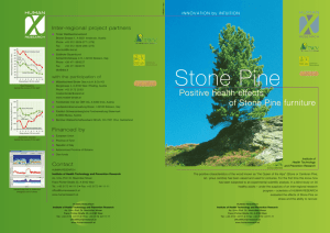 Positive health effects of Stone Pine furniture Positive health effects